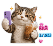 844481145