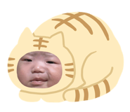 844481225