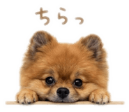844482491