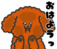844503277