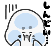 844503302