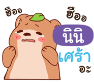 844513167