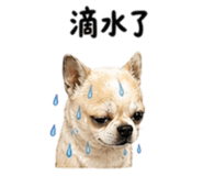844522557