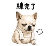 844522562