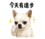 844522563