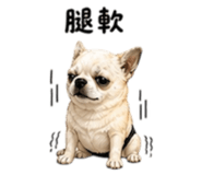 844522567