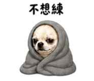 844522569