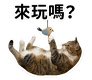 844522828