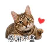 844523221