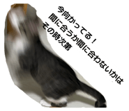 844540269