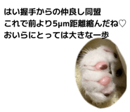 844540281