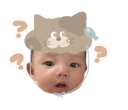 844543605