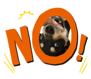 844543717