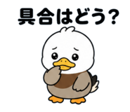 844544074