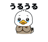 844544086