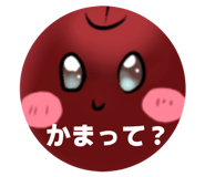 844555315
