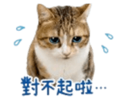 844555804