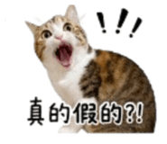 844555806