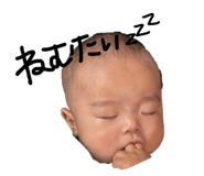 844557393