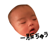 844557394
