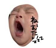 844557406