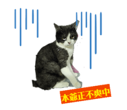 844559739