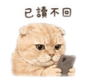 844559824