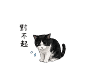 844560062