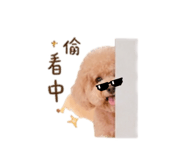 844560197