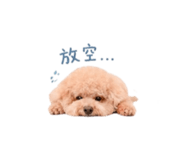 844560198