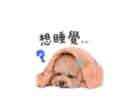844560199
