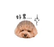 844560200