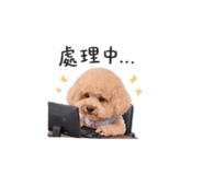 844560204