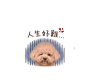 844560216