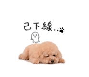 844560220