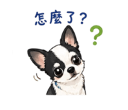 844560505