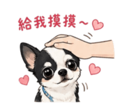 844560508
