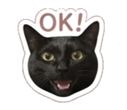 844560763
