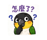 844560787