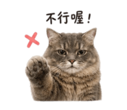 844560855