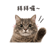 844560861