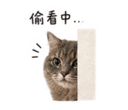 844560867
