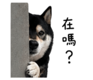 844561072