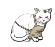 844561134