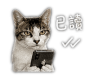 844561707