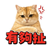 844561751