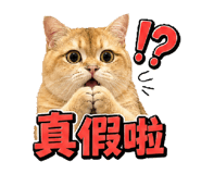 844561752