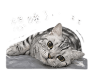 844561774