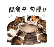 844561961