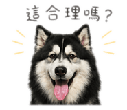 844562000